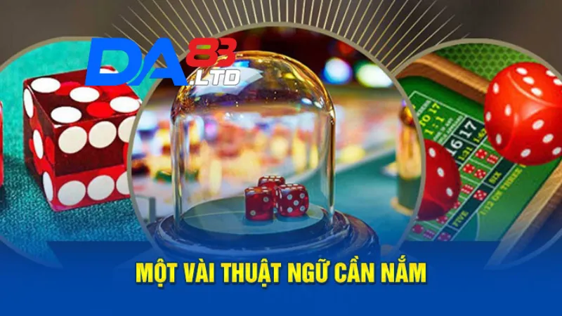 Các thuật ngữ cần nắm khi chơi sicbo live tại DA83